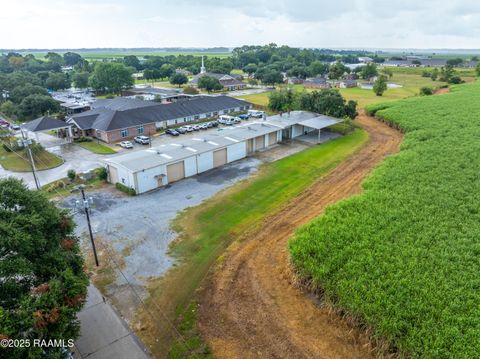 Photo of 1424 Adrian Street, New Iberia, LA 70560 (MLS # 2500003770)