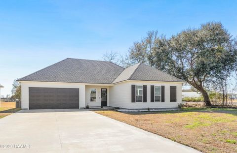 Photo of 3512 Minvielle Boulevard, Maurice, LA 70555 (MLS # 2600000700)