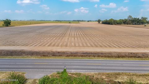 Photo of 6101 Highway 343, Maurice, LA 70555 (MLS # 2500003387)