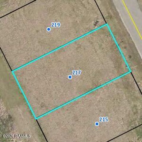 Photo of 217 Laurelwood Drive, Lafayette, LA 70501 (MLS # 2600001596)