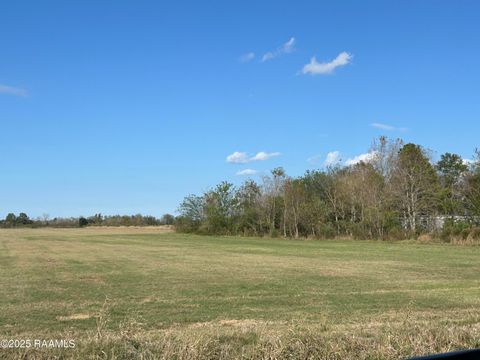 Photo of 13640 Arabie Road, Rayne, LA 70578 (MLS # 2500006188)