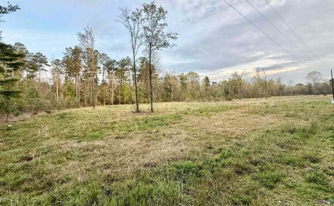 Photo of 18826 Creole Ln, Livingston, LA 70754 (MLS # BR2026004151)