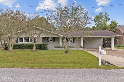 Photo of 120 Hillside Drive, Lafayette, LA 70503 (MLS # 2500003447)