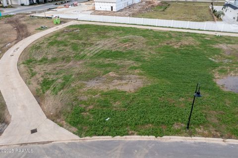 Photo of 218 Windswept Lane, Youngsville, LA 70592 (MLS # 25000639)