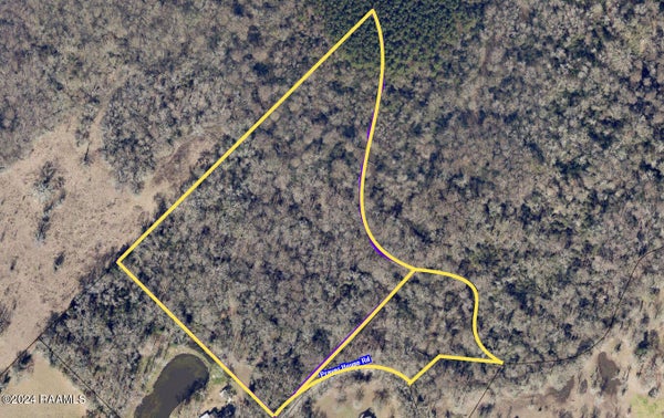 000 PRAYER HOUSE ROAD, OPELOUSAS, LA 70570 - Image c0e8a552d05fcd5baea67a94afb92a1d/1977609724