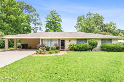 Photo of 515 Katherine Street, Jeanerette, LA 70544 (MLS # 2500004741)