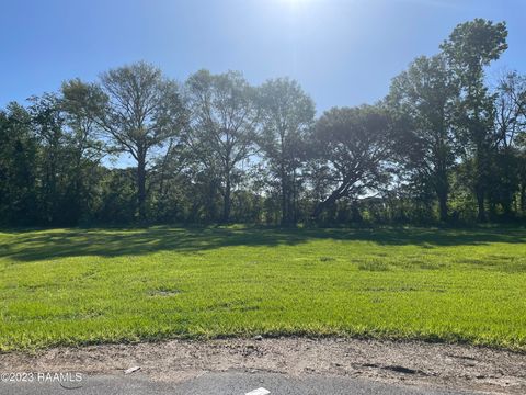 Photo of 5300 E Belvedere Drive, Youngsville, LA 70592 (MLS # 24009478)