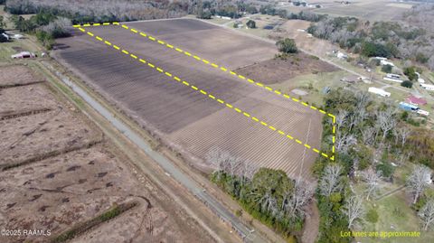 Photo of Tbd Wilfred Champagne Road, St. Martinville, LA 70582 (MLS # 2500006361)
