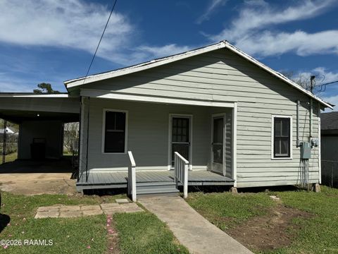 Photo of 1015 S Sterling Street, Lafayette, LA 70501 (MLS # 2600002273)