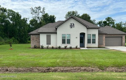Photo of 347 Gilbert Drive, Opelousas, LA 70570 (MLS # 2600001582)