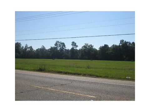 Photo of 46375 E Hwy 190 / Myers Road, Hammond, LA 70403 (MLS # NO768762)