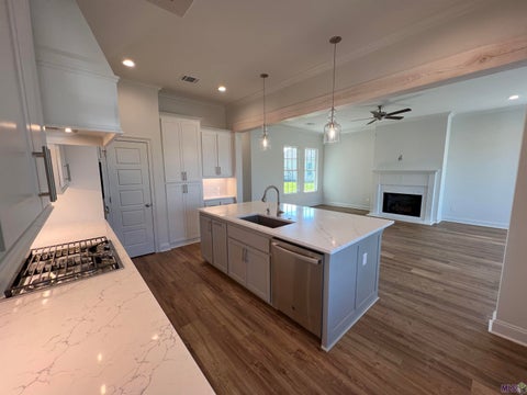 Photo of 4773 Cottage Oaks Dr Dr, Gonzales, LA 70737 (MLS # BR2026010161)
