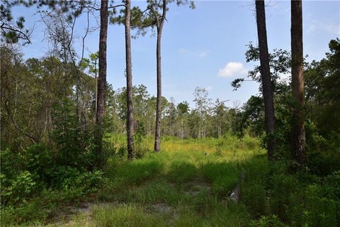 Photo of 37323 Howard O'berry Road RD, Pearl River, LA 70452 (MLS # NO2570148)