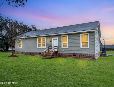 Photo of 1424 Dailey Road, Egan, LA 70531 (MLS # 2500005583)