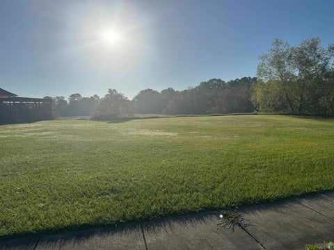 Photo of 3439 Timber Grove Dr Dr, Baton Rouge, LA 70816 (MLS # BR2026013091)