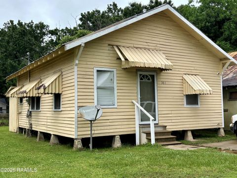Photo of 301 Haig Street, Lafayette, LA 70501 (MLS # 2600004115)