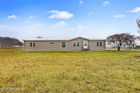 Photo of 141 Belgium Rd, Crowley, LA 70526 (MLS # 2500006520)