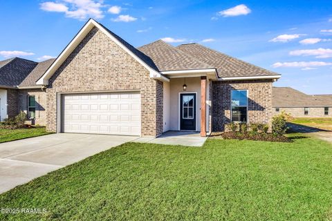 Photo of 141 Ridley Lane, Youngsville, LA 70592 (MLS # 2500006322)
