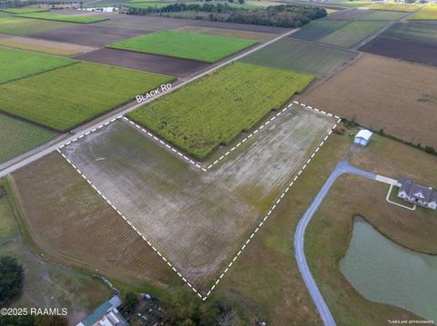 Photo of 204 Black Road, St. Martinville, LA 70582 (MLS # 2500005828)