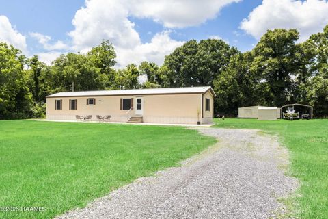 Photo of 215 Mouille Road, Port Barre, LA 70577 (MLS # 2600004251)