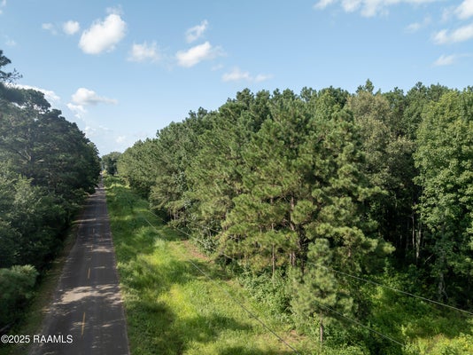 TBD JOLENE ROAD, BASILE, LA 70515 - Image cb30b3dfeb100ac88e89a476a32ca3ad/2137421977
