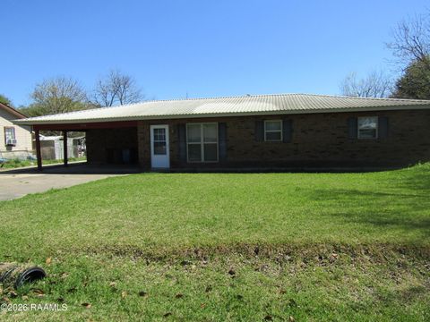 Photo of 719 Lillian Street, New Iberia, LA 70560 (MLS # 2600002308)