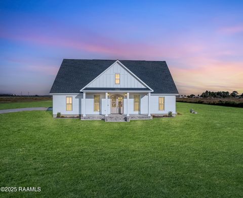 Photo of 152 Trudell Lane, Basile, LA 70515 (MLS # 2500004685)