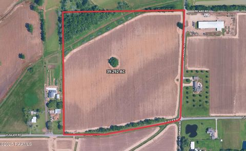 Photo of 8200 Fusilier Road, Maurice, LA 70555 (MLS # 2500000585)