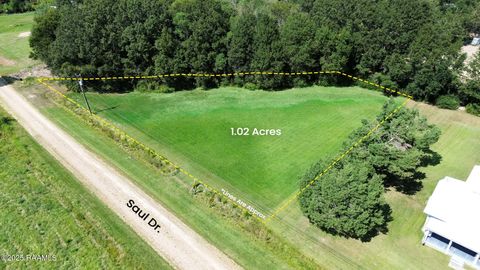 Photo of 000 Saul Drive, Duson, LA 70529 (MLS # 2500004305)
