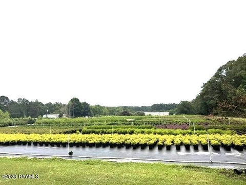 Photo of 170 Oil Field Road, Glenmora, LA 71433 (MLS # 2600009041)
