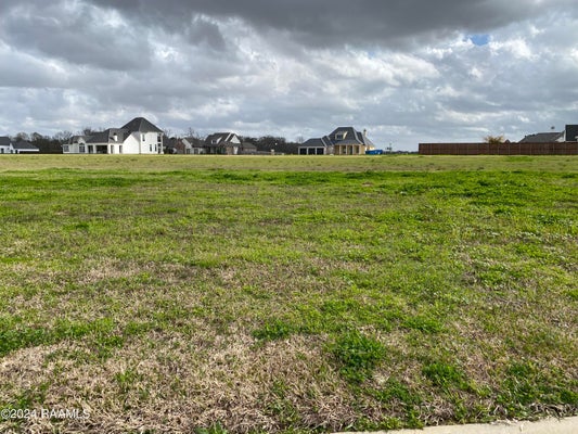 202 IVY COTTAGE DR, YOUNGSVILLE, LA 70592 - Image ceb8709d7f842dfbc8b87c6a30995a67/21376335