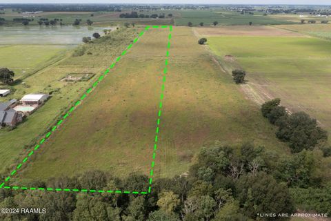 Photo of Tbd Wilson Road, Maurice, LA 70555 (MLS # 2500005869)
