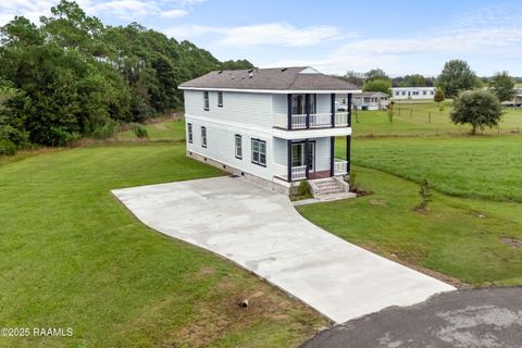 Photo of 264 Oak Mnr Road, Rayne, LA 70578 (MLS # 2500002370)