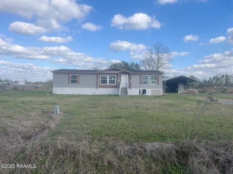 Photo of 1147 Lena Drive, Arnaudville, LA 70512 (MLS # 2500006207)