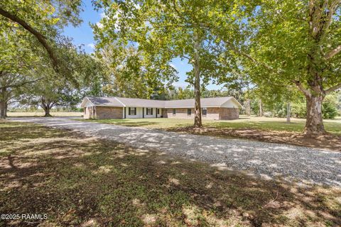 Photo of 2614 La Hwy 700, Maurice, LA 70555 (MLS # 2500003934)