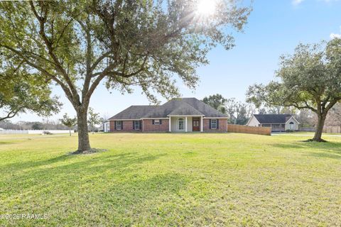 Photo of 9917 Jefferson Island Road Rd, New Iberia, LA 70560 (MLS # 2500006451)