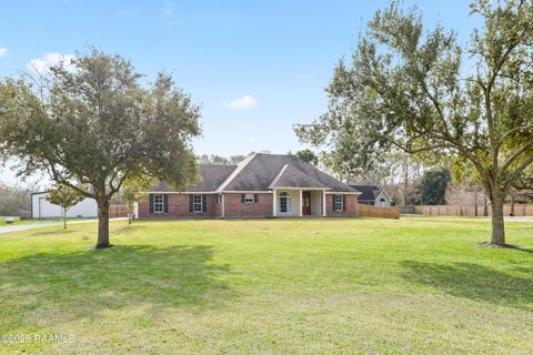 Photo of 9917 Jefferson Island Road Rd, New Iberia, LA 70560 (MLS # 2500006451)
