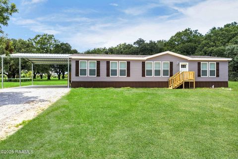 Photo of 317 Facile Road, Scott, LA 70583 (MLS # 2500001363)