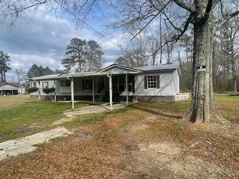 Photo of 30120 Mccullen Road Rd, Holden, LA 70744 (MLS # NO2546108)