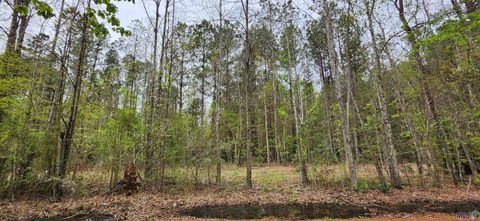 Photo of Lot C-1 Jessie Sibley Rd, Walker, LA 70785 (MLS # BR2026004882)