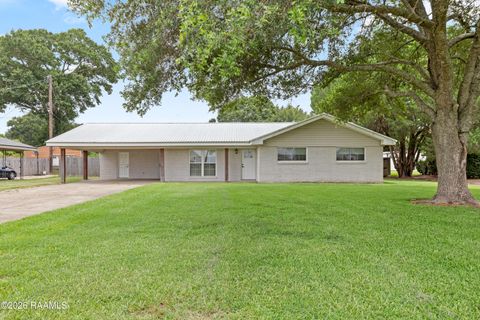 Photo of 916 Heart D Farm Road, Youngsville, LA 70592 (MLS # 2600005882)