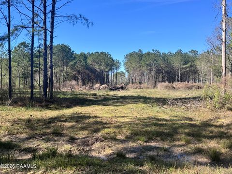 Photo of 00 Don, Iota, LA 70543 (MLS # 2600000049)