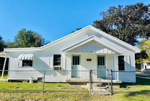 Photo of 309 Armentor Street, New Iberia, LA 70560 (MLS # 2500006507)