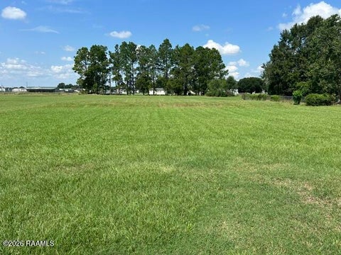 Photo of 503 St James Avenue, Opelousas, LA 70570 (MLS # 2600008084)