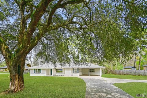 Photo of 42204 Weber City Rd Rd, Gonzales, LA 70737 (MLS # BR2026004374)