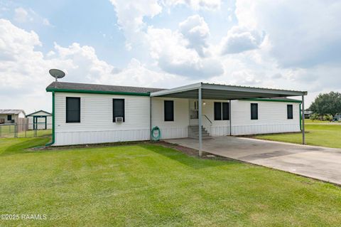 Photo of 123 Whitmore Road, Scott, LA 70583 (MLS # 2500003615)