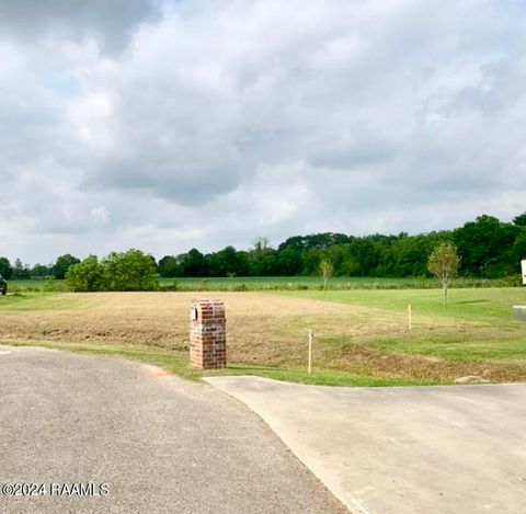 Photo of 223 Psalms Court, Youngsville, LA 70592 (MLS # 24007744)
