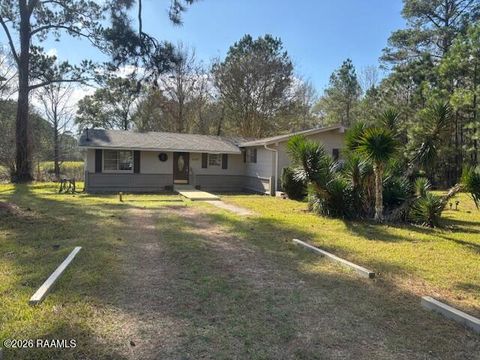 Photo of 2307 Hwy 190, Elton, LA 70532 (MLS # 2500006730)