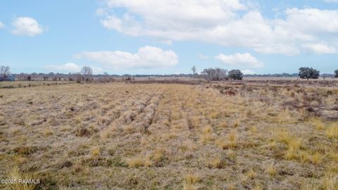 Photo of 14410 La-92, Maurice, LA 70555 (MLS # 2600000044)