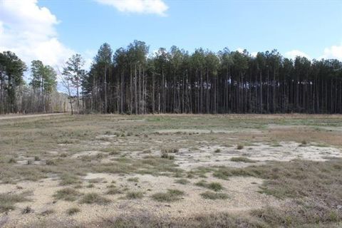 Photo of 24755 442 Highway, Independence, LA 70443 (MLS # NO2543050)